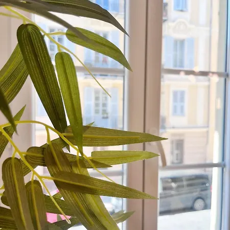 RF104 - Charmant 3P à nice près du Port Appartement *